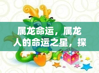 属龙命运之谜，探寻命运之星与无限可能之路