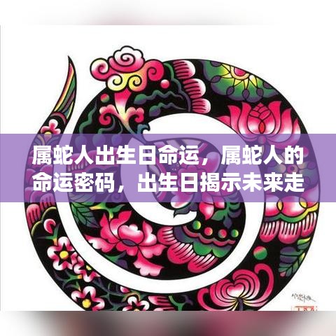 属蛇人的命运揭秘，出生日预示未来走向