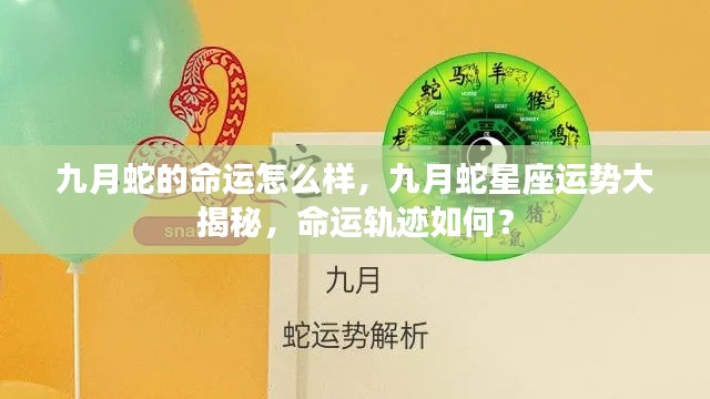 九月蛇星座运势揭秘，命运轨迹与运势展望