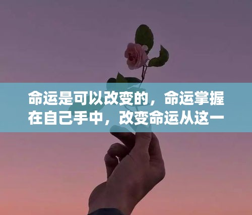 掌握命运之舵，即刻改变命运轨迹的启示