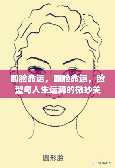 脸型与命运，圆脸背后的微妙人生运势关联