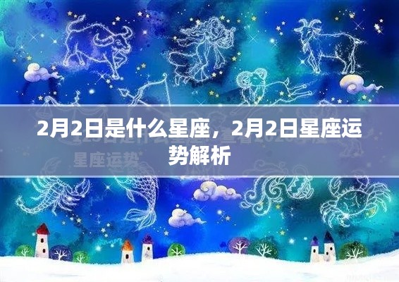 2月2日星座运势解析，探寻属于你的星座运势