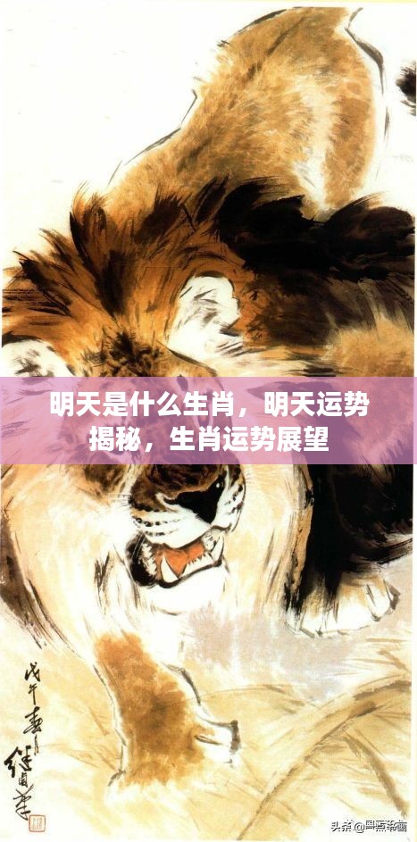 明天生肖运势揭秘，生肖展望与运势预测