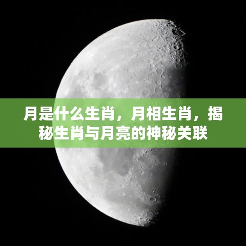 月亮与生肖的神秘联系，揭秘生肖与月相的关系