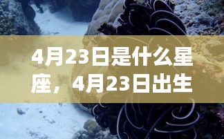 揭秘4月23日出生者的星座属性