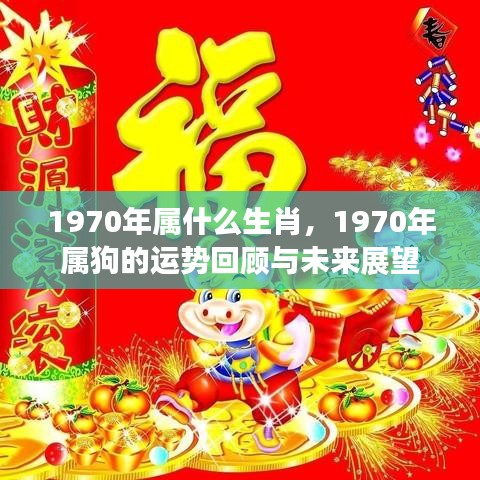 1970年属狗的运势回顾与未来展望，命运轨迹深度解析