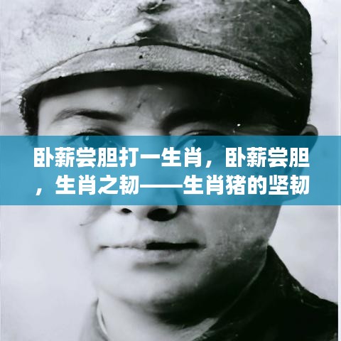 运势 第107页