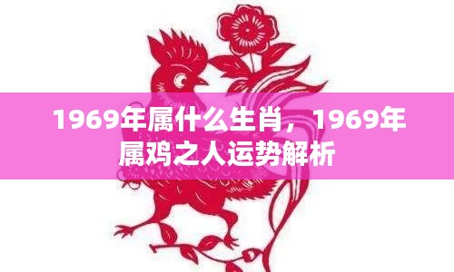 1969年属鸡之人的运势解析与生肖属性特点