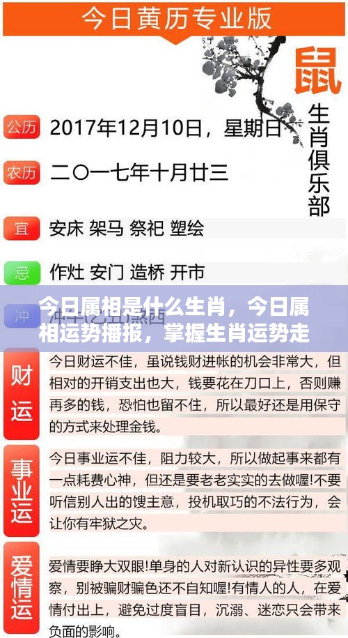 今日生肖运势播报，掌握生肖运势走向与属相运势分析