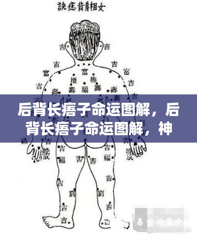 后背长痦子命运解读，神秘符号揭示命运之谜