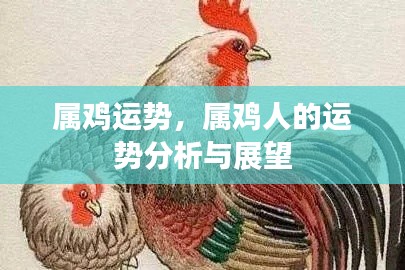 属鸡人的运势展望与运势分析