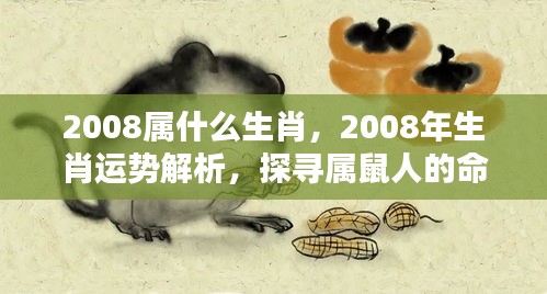 2008年属鼠人的生肖运势与命运轨迹解析