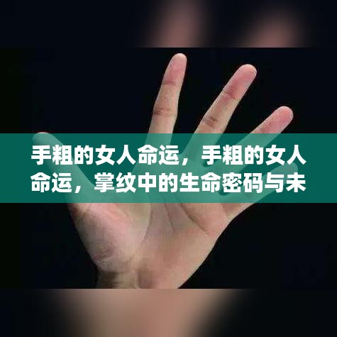 手粗女人的命运展望，掌纹中的生命密码与未来探索