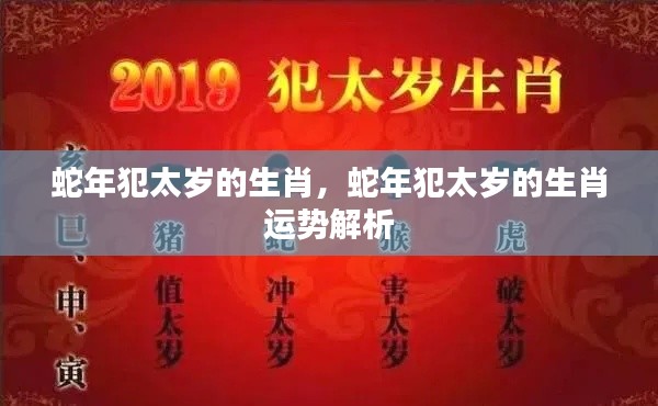 蛇年犯太岁的生肖运势解析与应对策略