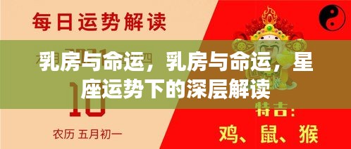 乳房与命运，星座运势下的深层解读与探索