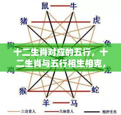 十二生肖对应的五行，十二生肖与五行相生相克，你的命运密码解读