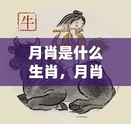 探寻月肖生肖的神秘联系，运势解析与生肖与月亮的关联