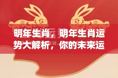 明年生肖运势大解析，洞悉未来运势走向