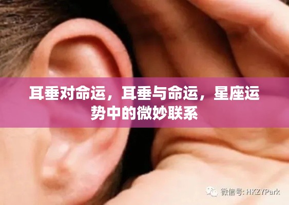 耳垂与命运，星座运势中的微妙联系探究