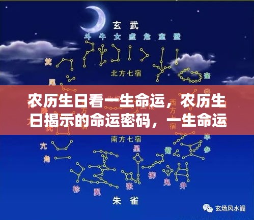 农历生日揭示命运密码，一生命运走势深度解析与解读