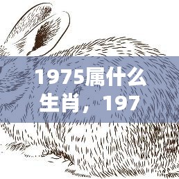 1975年属兔人的生肖运势详解及生肖特点分析