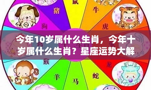 今年十岁属什么生肖？星座运势深度解析！