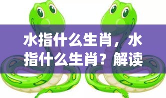 揭秘生肖与水的神秘关联，哪些生肖与水有关？