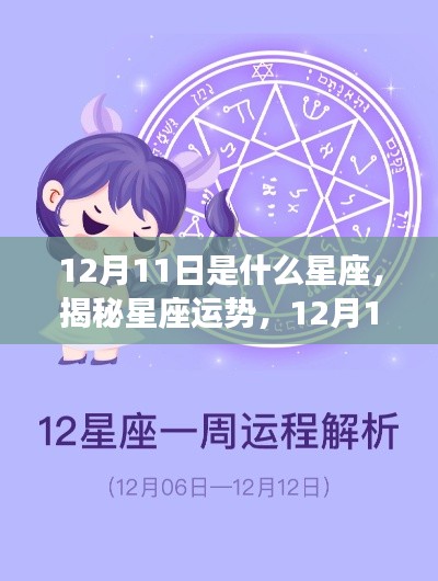 揭秘星座运势，12月11日星座运势详解