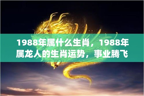 1988年属龙人的事业腾飞与财富滚滚运势解析