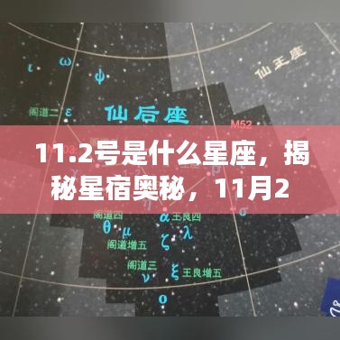 揭秘星宿奥秘，揭秘星座运势解读与星座性格分析之星座篇（11月2日篇）