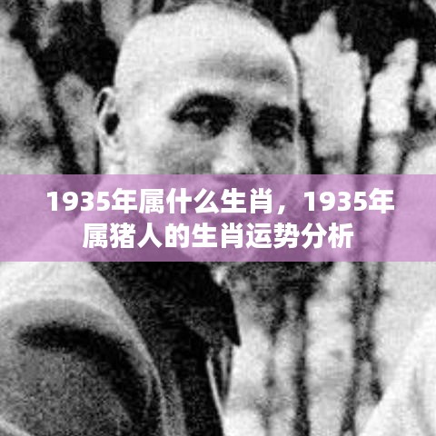 1935年属猪人的生肖运势详解