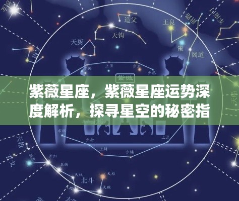 紫薇星座深度解析，探寻星空指引，掌握运势秘密