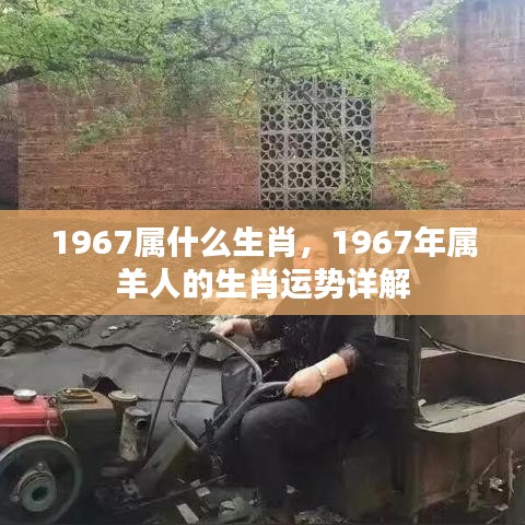 1967年属羊人的生肖运势详解及生肖属性解析