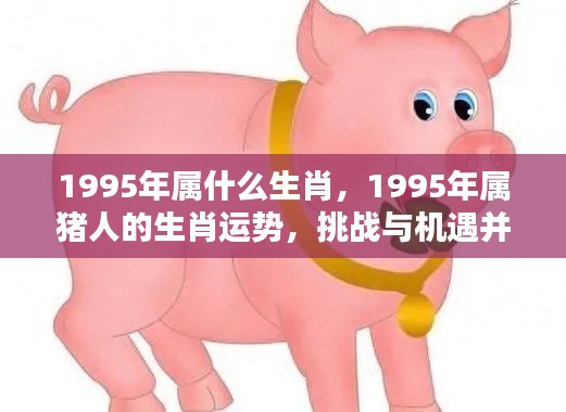 1995年属猪的生肖运势，挑战与机遇并存