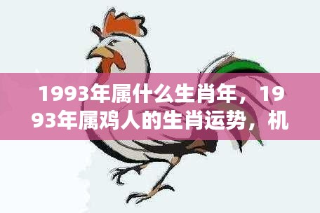 1993年属鸡人的生肖运势，机遇与挑战并存的一年