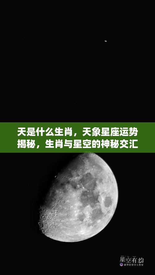 生肖与星空神秘交汇，天象星座运势揭秘及生肖星座特点探索