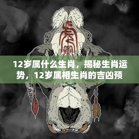 揭秘生肖运势，揭秘属相生肖吉凶预测，十二岁少年的生肖运势展望