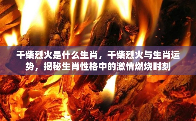 揭秘生肖激情燃烧时刻，干柴烈火与生肖运势的关联分析