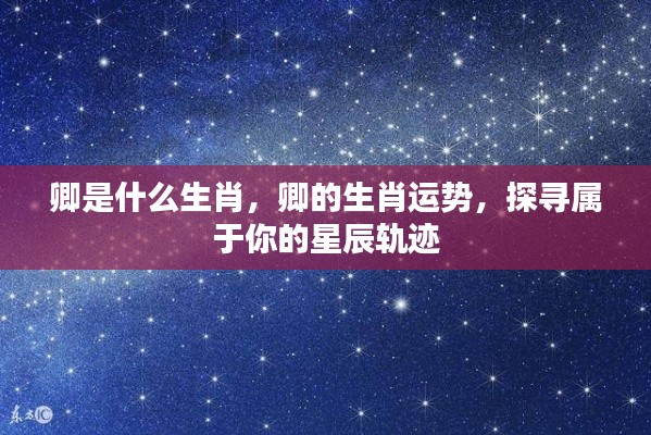 卿的生肖运势揭秘，探寻属于你的星辰轨迹，掌握未来走向！