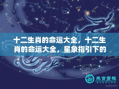 星象指引下的十二生肖命运解析大全