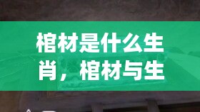 棺材与生肖，神秘文化交汇的解读