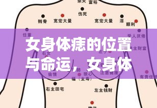 2024年12月5日 第6页