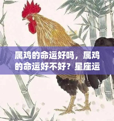 属鸡人的命运详解，星座运势与性格特质深度解析