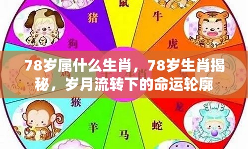 揭秘生肖轮回，探寻78岁命运之轮下的生肖秘密