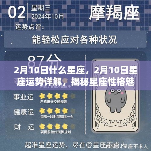 揭秘2月10日星座运势及性格魅力，掌握未来走向指南