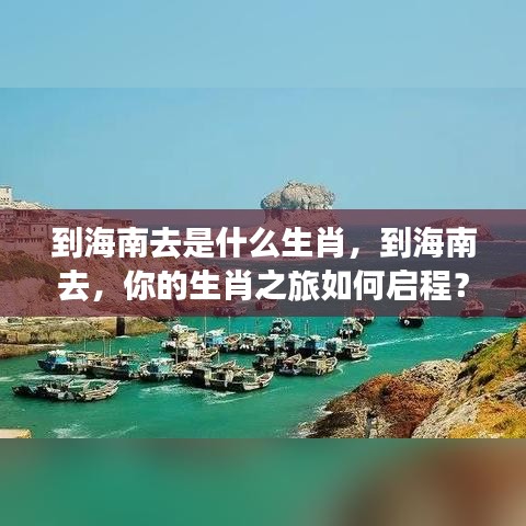 启程生肖之旅，海南之行与生肖探秘