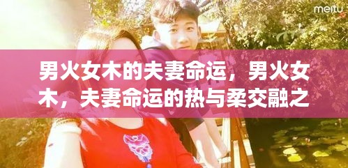 男火女木，夫妻命运的热柔交融之旅