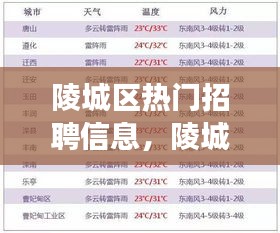 陵城区热门招聘信息概览，职业发展的黄金机会探寻