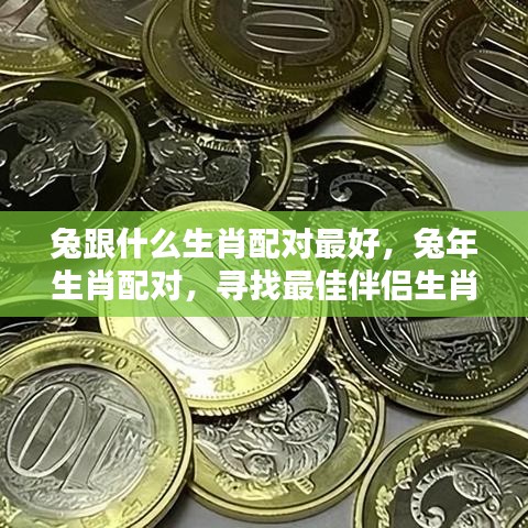 兔年生肖配对解析，寻找最佳伴侣生肖组合