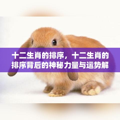 揭秘十二生肖排序背后的神秘力量与运势解读